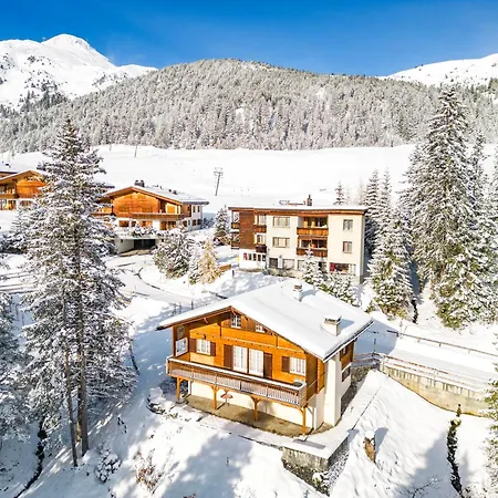 Soldanella By 木屋